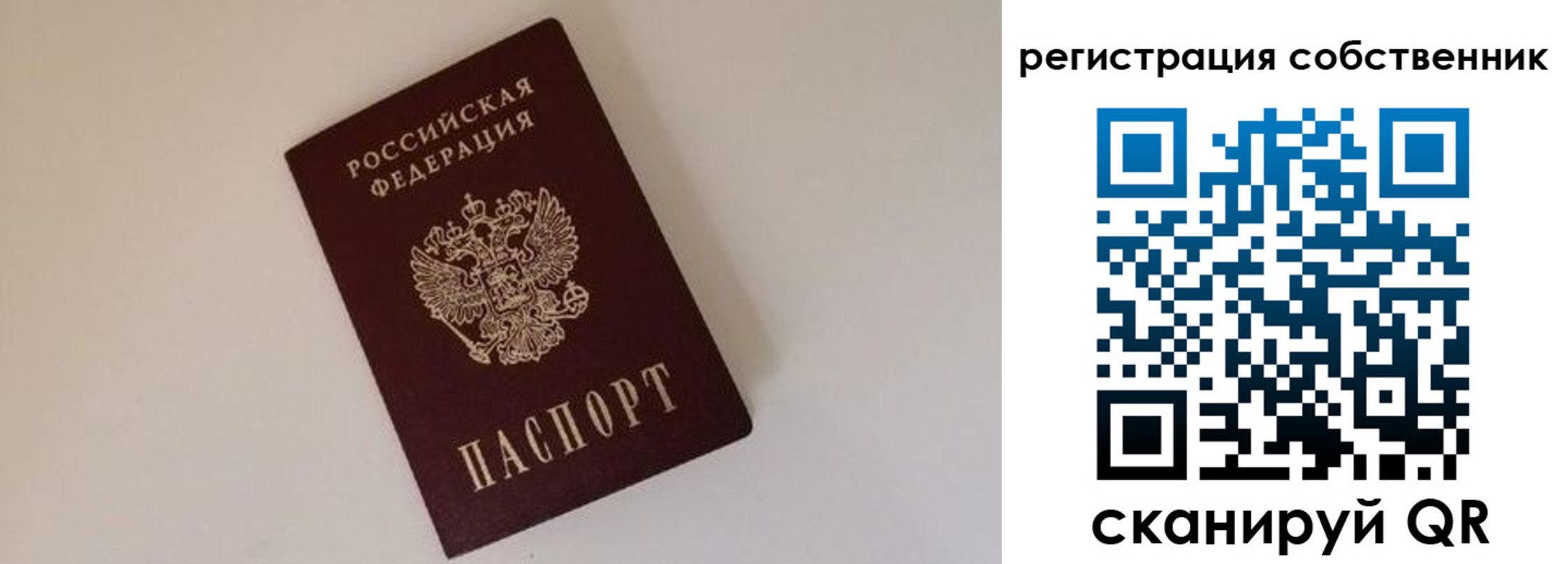 временная регистрация надежно в Заринске