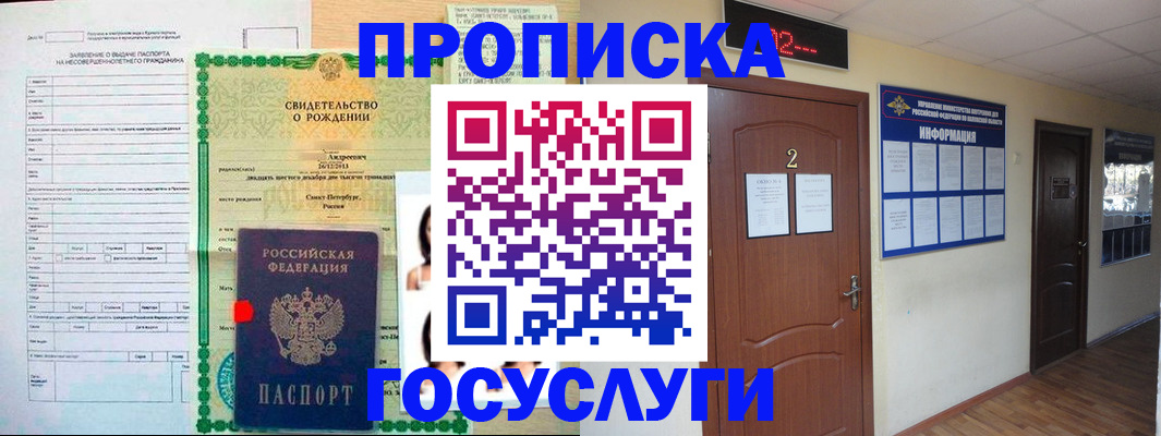 прописка законно в Заринске